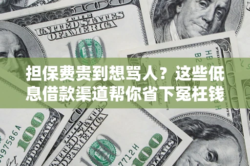 济南担保费贵到想骂人？这些低息借款渠道帮你省下冤枉钱